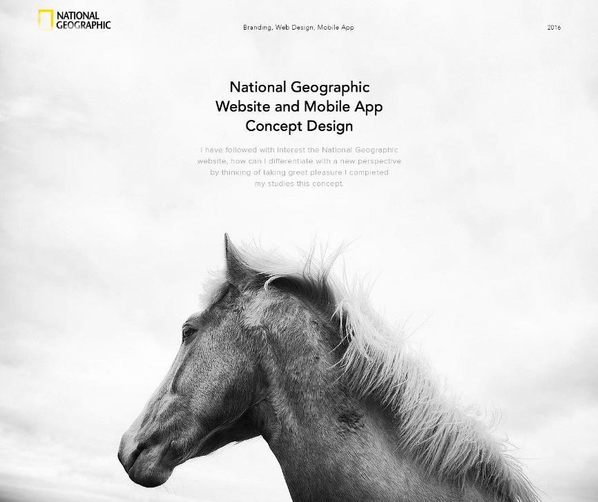 Minimalist web design example, National Geographic