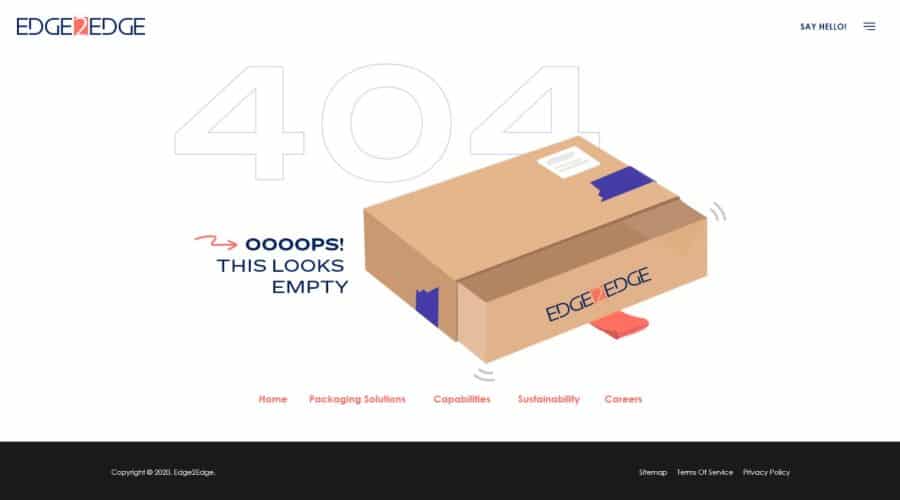 Edge2Edge 404页面截图