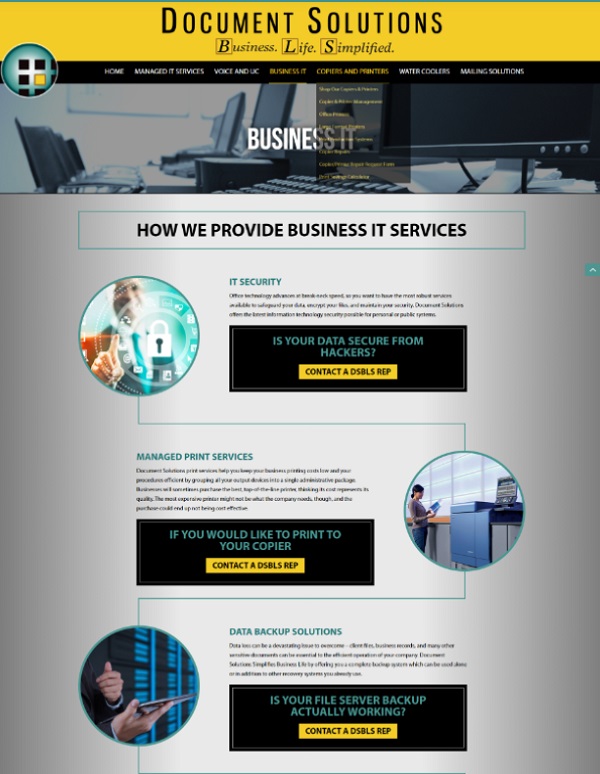 Business solutions on old DSBLS website