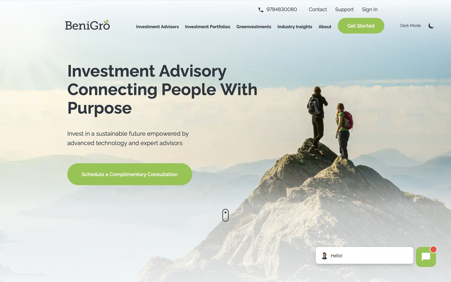 Financial Advisor Websites Benigro Homepage 1