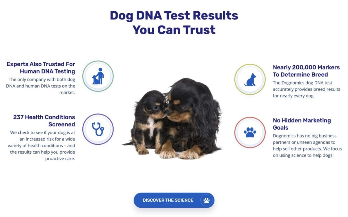 5 Best eCommerce Website Examples & Expert Guide To Creating A Site That Converts 10 best ecommerce websites dognomics features
