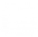 logo used on LIG's new custom website