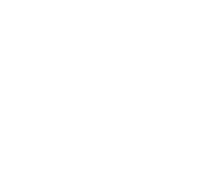 logo used on LIG's new custom website
