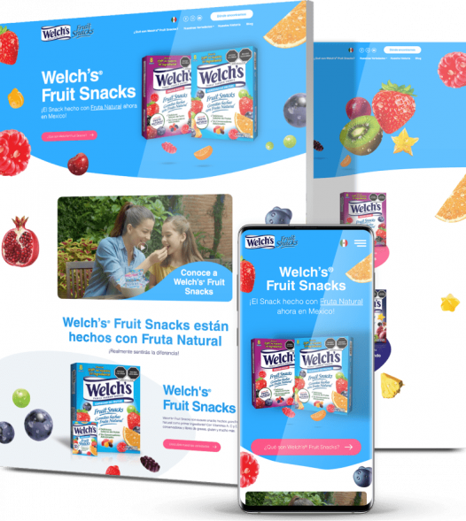 Creative website design company client Welch's