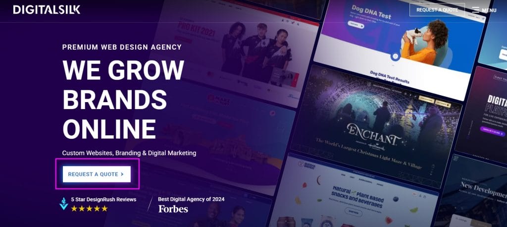 Digital Silk website screenshot