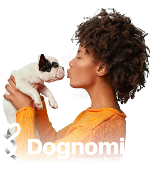 Logo design agency featured example: Dognomics
