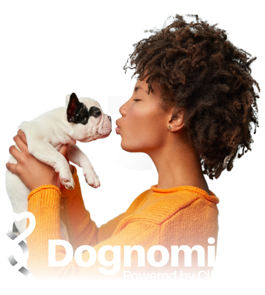 Logo design company in Miami featured example: Dognomics