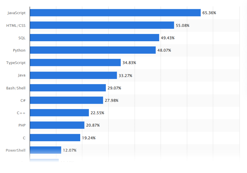 Web development terms: most popular programming languages according to Statista
