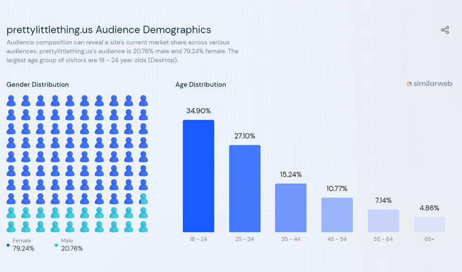 Demographic stats of Pretty Little Thing's US website