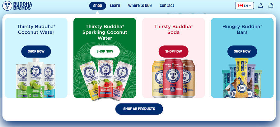 The Buddha Brands homepage as a custom website design example