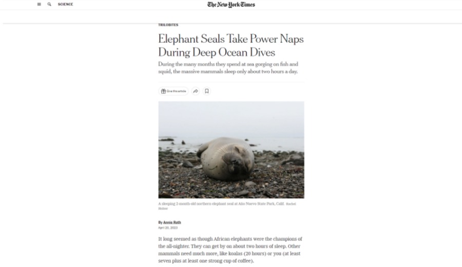 an example of well designed news page by the NY Times