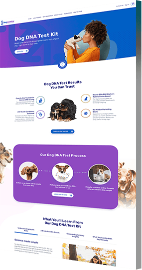Website design company portfolio example: Dognomics