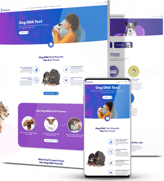 Custom web development company featured example: Dognomics