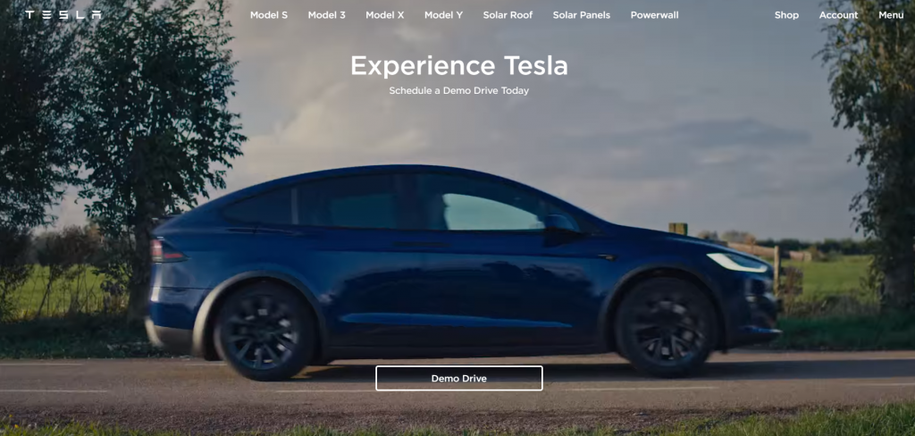 An image of one of Tesla's car taken from the Tesla's website.