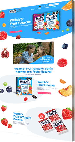 Website design example for Welch's
