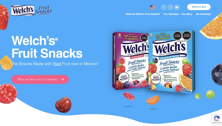 Welch's Fruit Snacks homepage