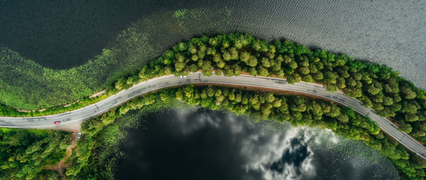 A road through the woods and by the lake