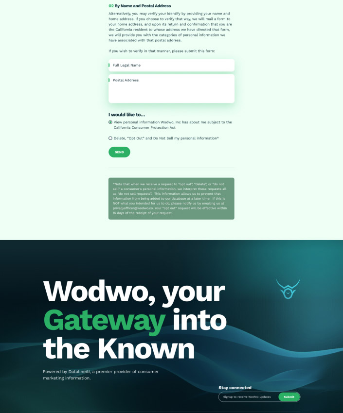 custom-website-design-company-wodwo-full-5