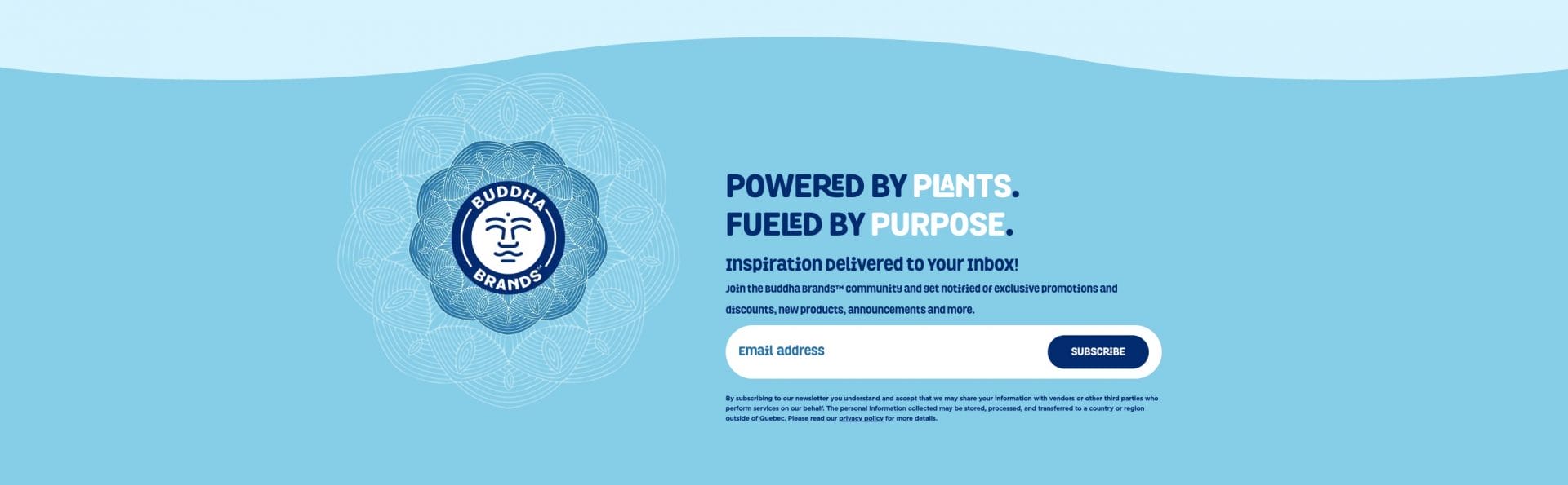 email subscription form on buddha brands' website