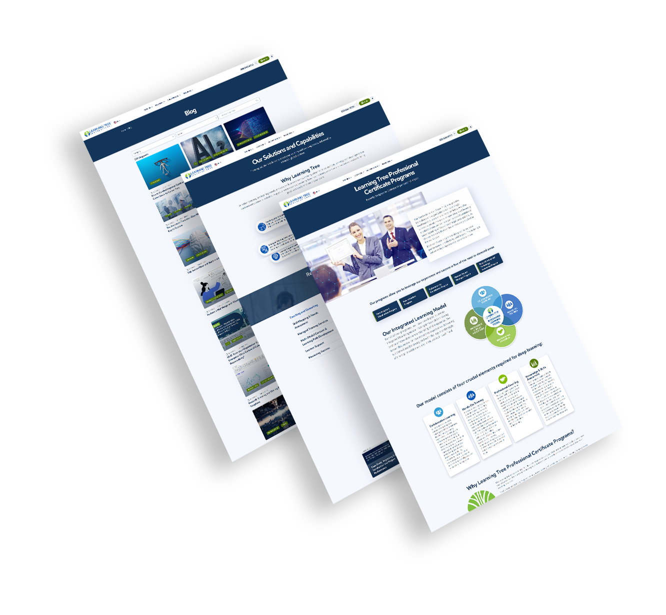 Learning Tree TEMPLATE V1 PNG --image:1