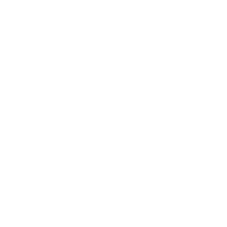 Trust and transparency icon