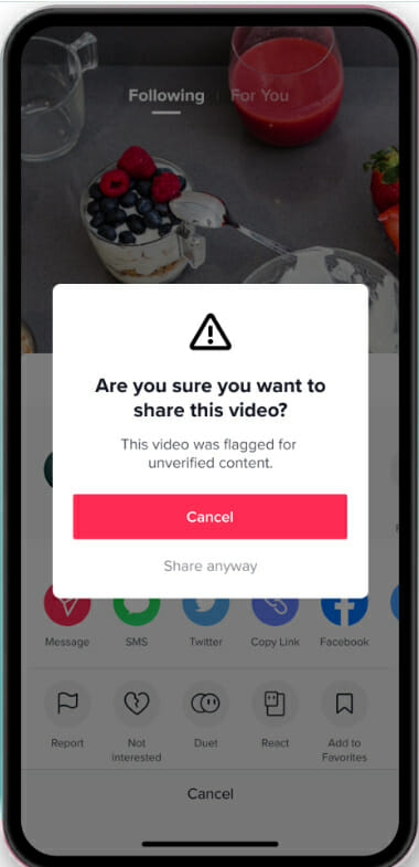 A notification warning a TikTok user of flagged content