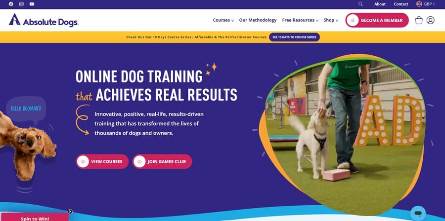 Absolute Dogs website screenshot