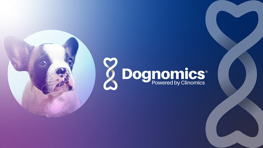 A gradient design from Dognomics' brand book
