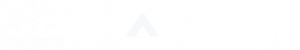 ds-branding portfolio-capixa-logo