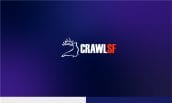 ds-branding portfolio-image-crawlsf 2-min