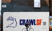 ds-branding portfolio-image-crawlsf 4-min