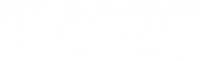 sandler_white_logo