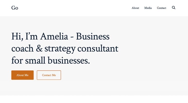Go WordPress theme example screenshot