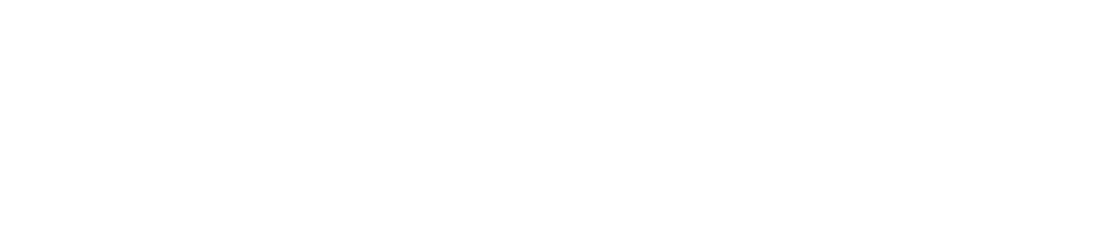 Biwin Consumer Logo_white 296×60-01