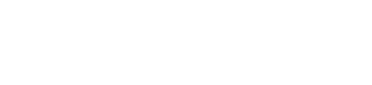 devensoft_logo