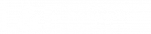 logo white 1183×456