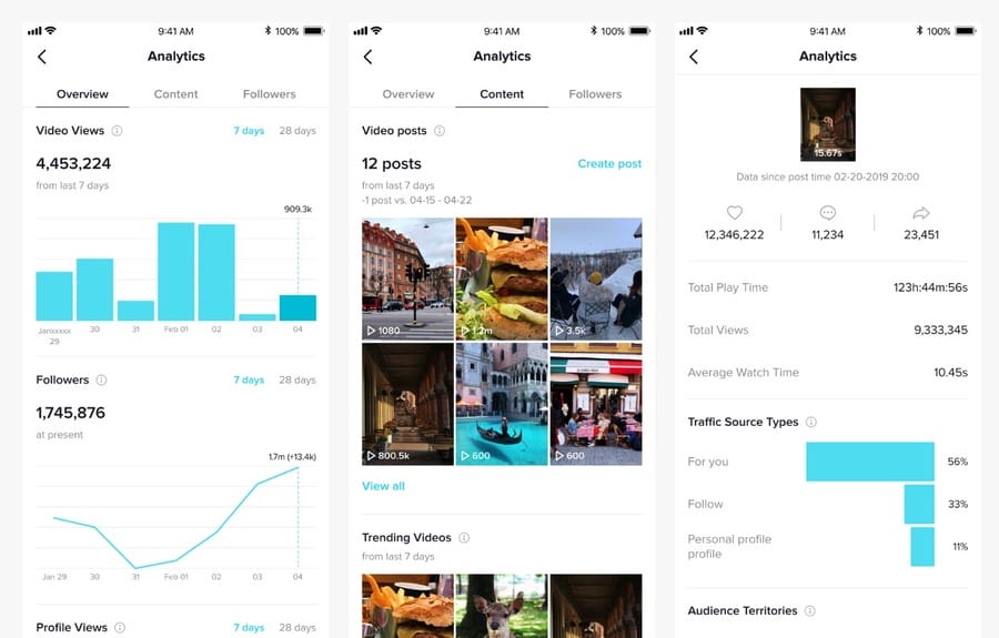 Image showing TikTok analytics dashboard