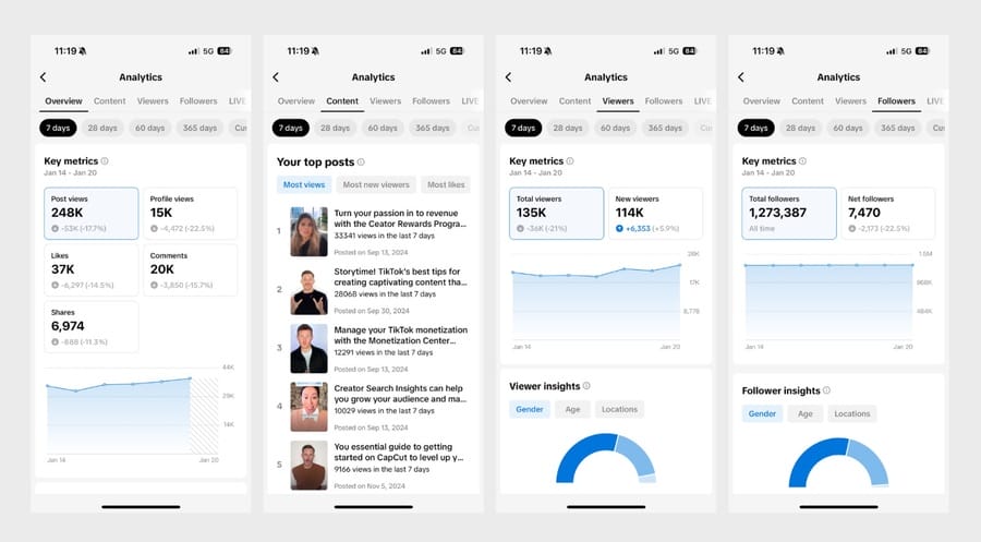 Image showing TikTok analytics dashboard