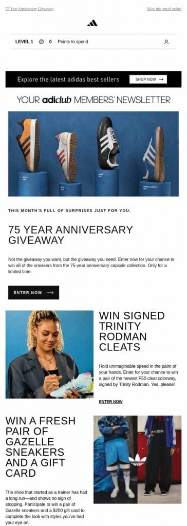 Image showing Adidas' newsletter email