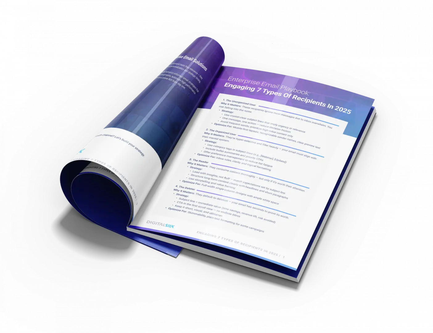 types-of-emial-users-digital-silk-playbook.png