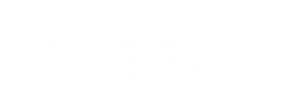 Biwin-Logo