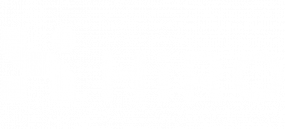 DS_CASE-STUDY_LOGOTYPES_HIRO-e1752872666279