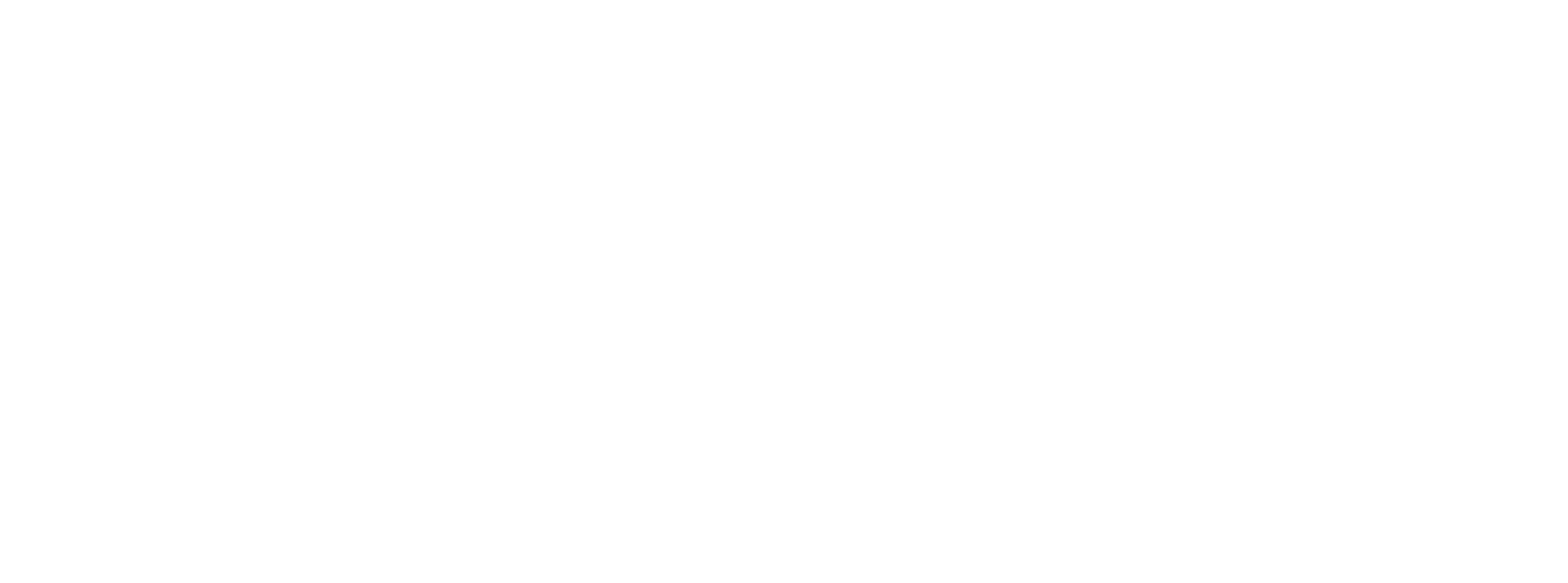 DS_CASE-STUDY_LOGOTYPES__DUOZ-e1752871115756