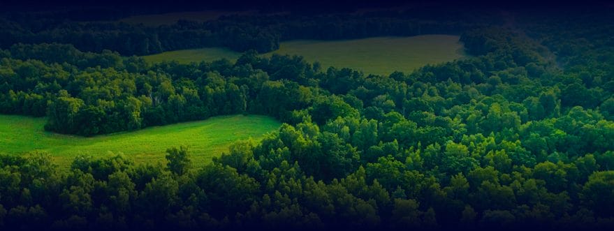background_2