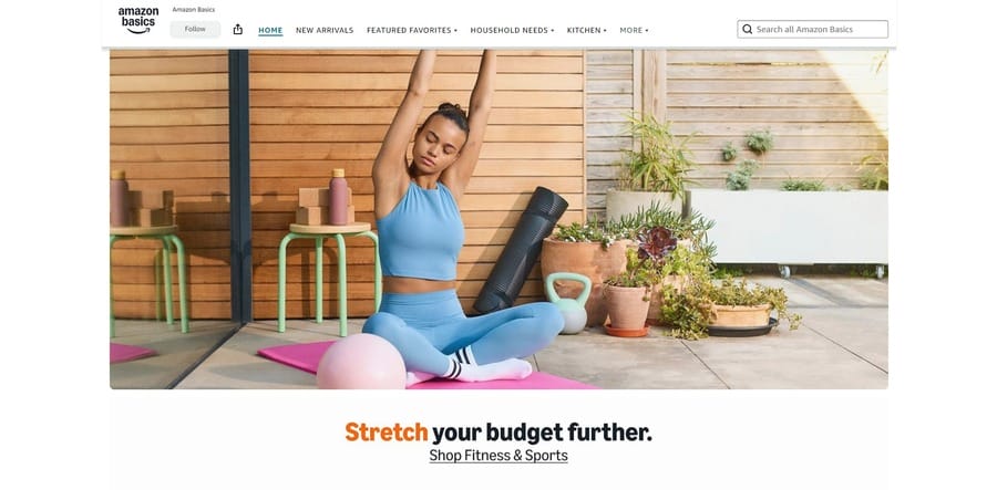 Amazon website screenshot showing the Amazon Basics range
