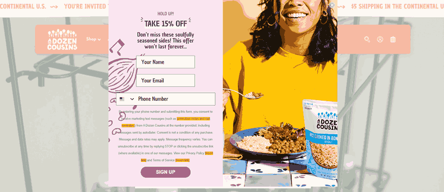 30 Stunning Website Pop-Up Examples From Experts 34 A Dozen Cousins website screenshot