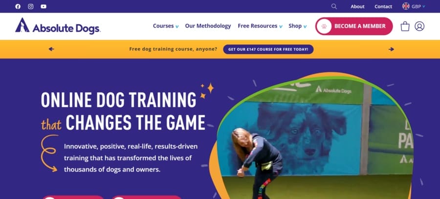 30 Best Shopify Store Examples For Inspiration 32 Absolute Dogs website screenshot