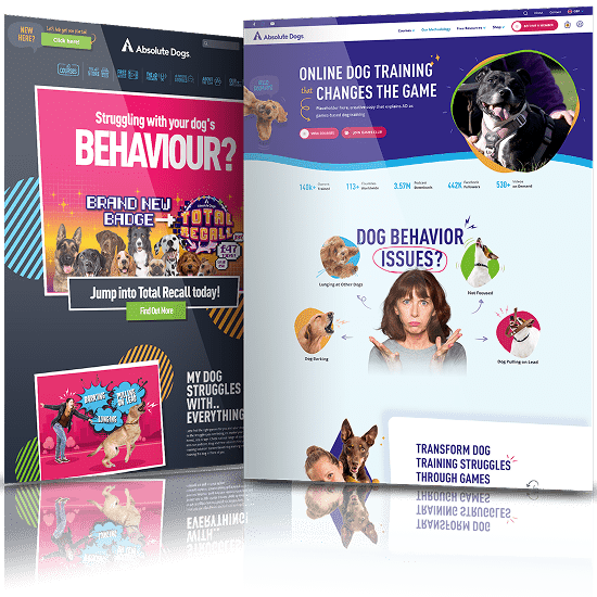 Before and after website redesign for Absolute Dogs showcasing improved UX, modern branding and enhanced online dog training experience