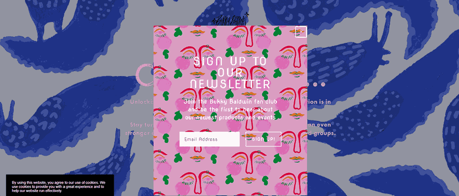 30 Stunning Website Pop-Up Examples From Experts 27 Bukky Baldwin website screenshot