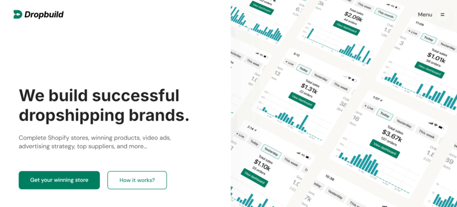 30 Best Shopify Store Examples For Inspiration 28 Dropbuild website screenshot